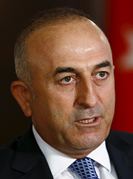 Çavuşoğlu, Mevlüt